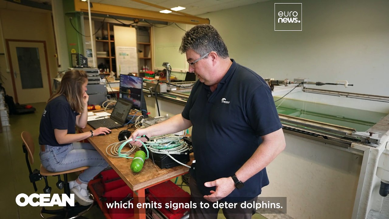 Safety nets: Can smarter fishing gear protect marine life and keep fishers afloat?