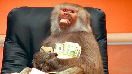 Hims & Hers Super Bowl 2025 Commercial