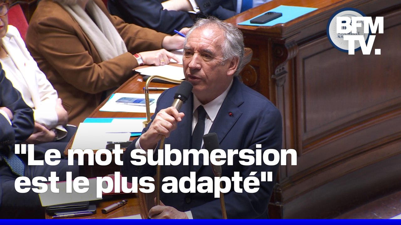 Interpellé à l'Assemblée nationale, François Bayrou maintient ses propos sur la "submersion migratoire"
