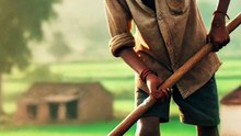 गरीब किसान के बेटे राजू ने बदली अपने परिवार की हालत #trending ##viralvideo #motivation
