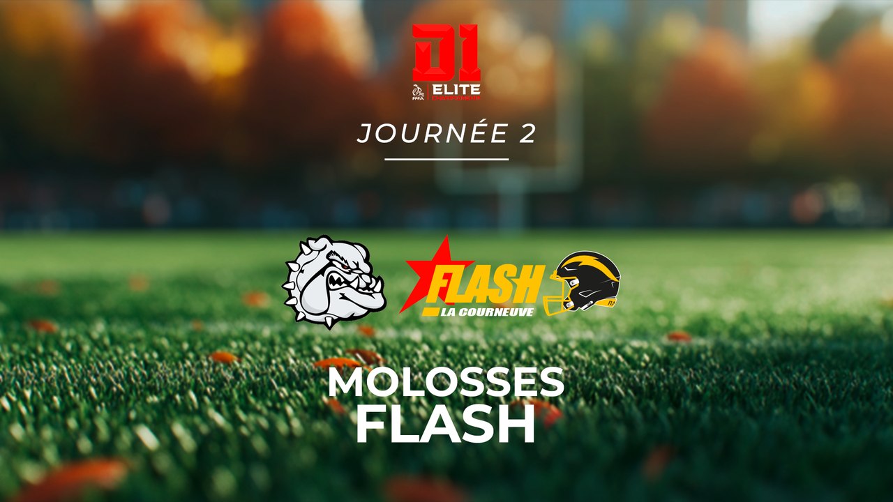 Molosses d'Asnières – Flash de La Courneuve