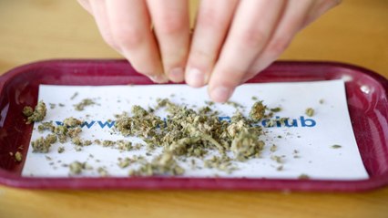 Wird die Union die Cannabis-Legalisierung in Deutschland rückgängig machen? 🌿