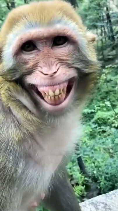1738082593560251720p
