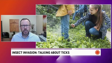 Insect invastion: Talking about ticks