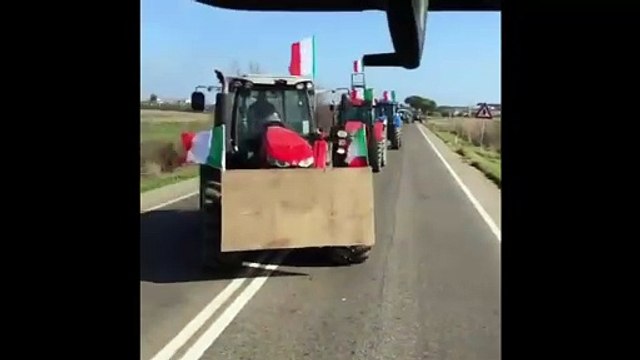 La protesta dei trattori: agricoltori in marcia sulle strade della Maremma