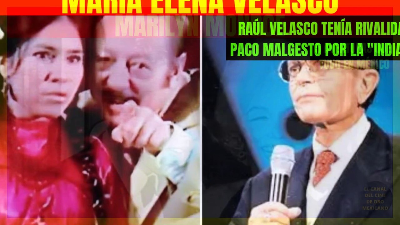 02219CCM 100 de nuestros VÍDEOS que NO te puedes perder #4