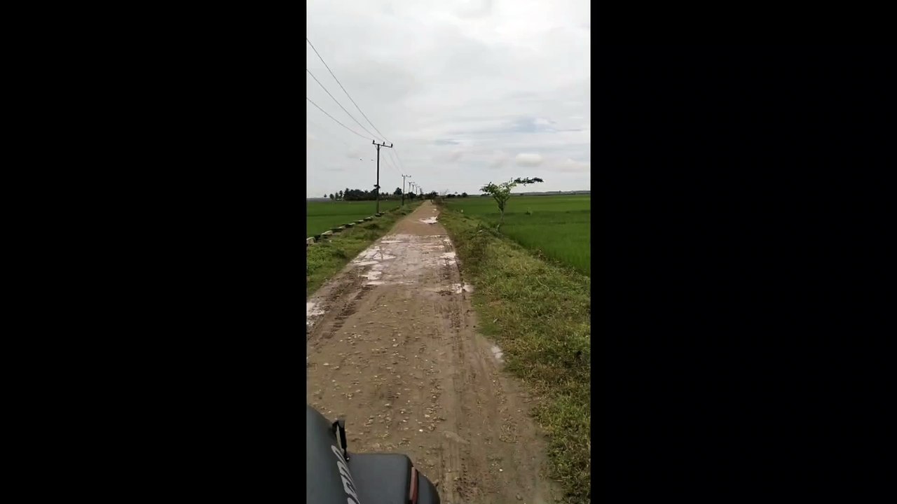 Exciting Milkfish Harvest || Part I