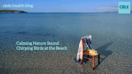 Calming Nature Sound: Chirping Birds at the Beach