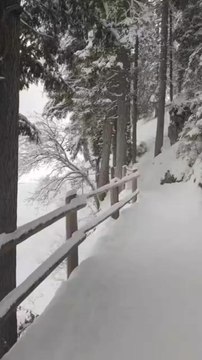 ENVIRONNEMENT enneigé sur le lac de Braies