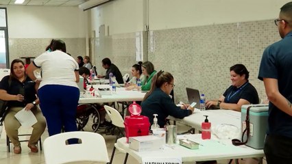 tn7-nueva-campaña-de-vacunacion-contra-fiebre-amarilla-280125