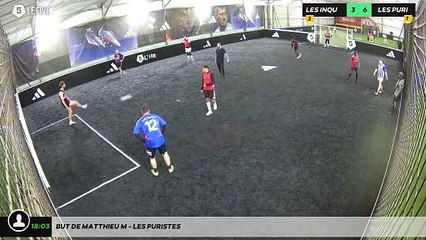 But de Matthieu M - Les Puristes