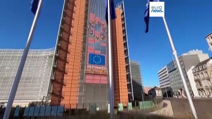 Georgia's FM says EU decision to suspend visa-free travel is 'politically wrong'