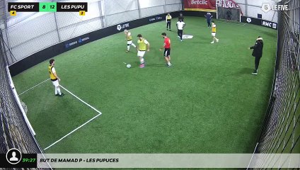 But de Mamad P - Les Pupuces
