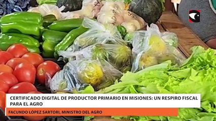 Certificado Digital de Productor Primario en Misiones: un respiro fiscal para el agro