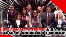 ¡SE LA MAM… a TRUMP! ¡’GATETE del Sr. X.’ es ANIQUILADO por UNA VALIENTE DIPUTADA de MORENA!