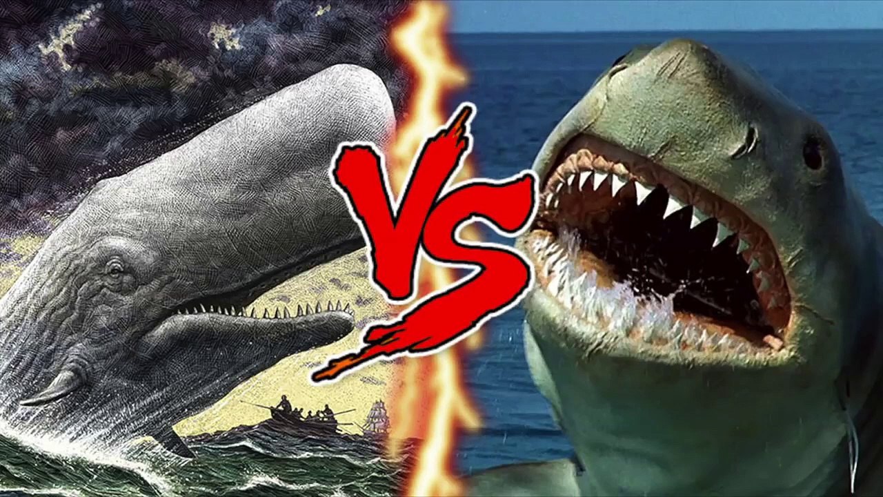 Mini V.S Jaws vs Moby Dick (Reuploaded)