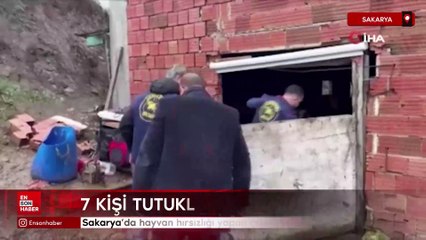 Sakarya'da hayvan hırsızlığı yapan çeteye operasyon