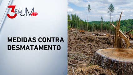 STF diz que governo não cumpriu todas as determinações do Plano Amazônia