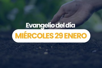 EVANGELIO MIERCOLES 29 ENERO