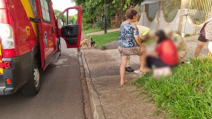 Ataque de Chow-Chow deixa mulher ferida em Cascavel