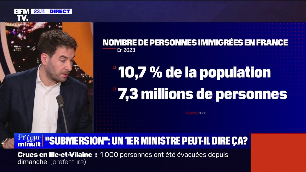 L'ŒIL DE RAPHAËL - Propos de François Bayrou sur la "submersion" migratoire: que disent les chiffres?