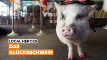 Local Heroes: Lilou, das Therapieschwein