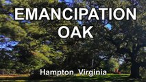 The Emancipation Oak - Hampton, Virginia - Where Lincoln's EMANCIPATION PROCLAMATION was FIRST read in the South!!