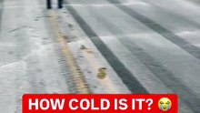 "How Cold Is It? 🥶❄️"