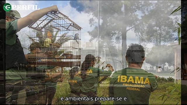 Oportunidades de emprego: concursos públicos com salários atrativos e recomendações de séries na Netflix