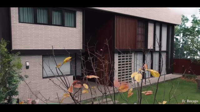 After Her Best Friend Accidentally Hurt Her, She Vows to Get Revenge