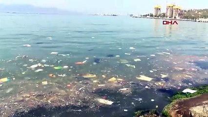 Ege'nin incisi İzmir'den mide bulandıran manzara!