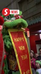 Sydney celebrates first day of Lunar New Year with traditional lion dance
