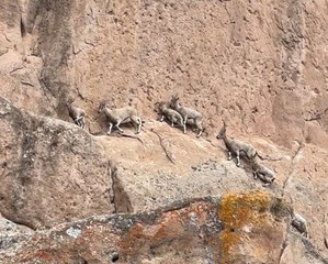 Dünyadaki Mars'ta görüntülendi! Köylüler gözlerine inanamadı