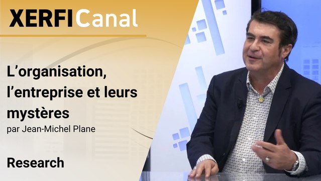 L’organisation, l’entreprise et leurs mystères [Jean-Michel Plane]