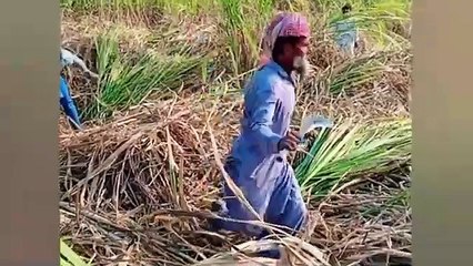 # Most funny # Moment pakistani #