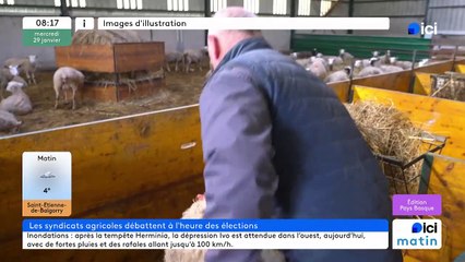 Elections à la chambre d'agriculture : le débat