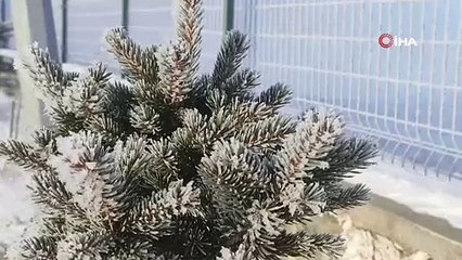 Türkiye'nin Sibiryası'nda termometreler - 32,3'ü gösterdi