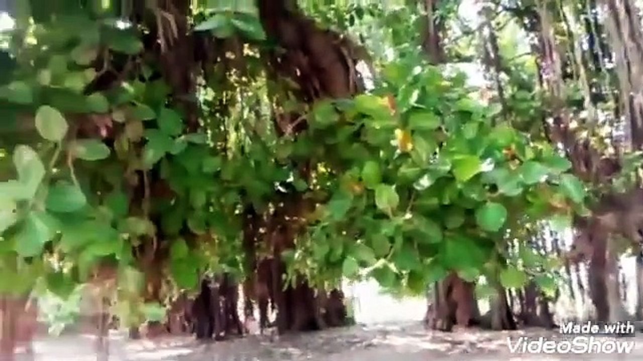 Seeta ka Mandir Near River Raavi Near Khanewall Punjab PK