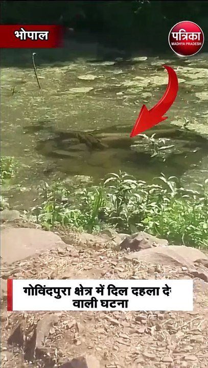 गोविंदपुरा क्षेत्र में दिल दहला देने वाली घटना