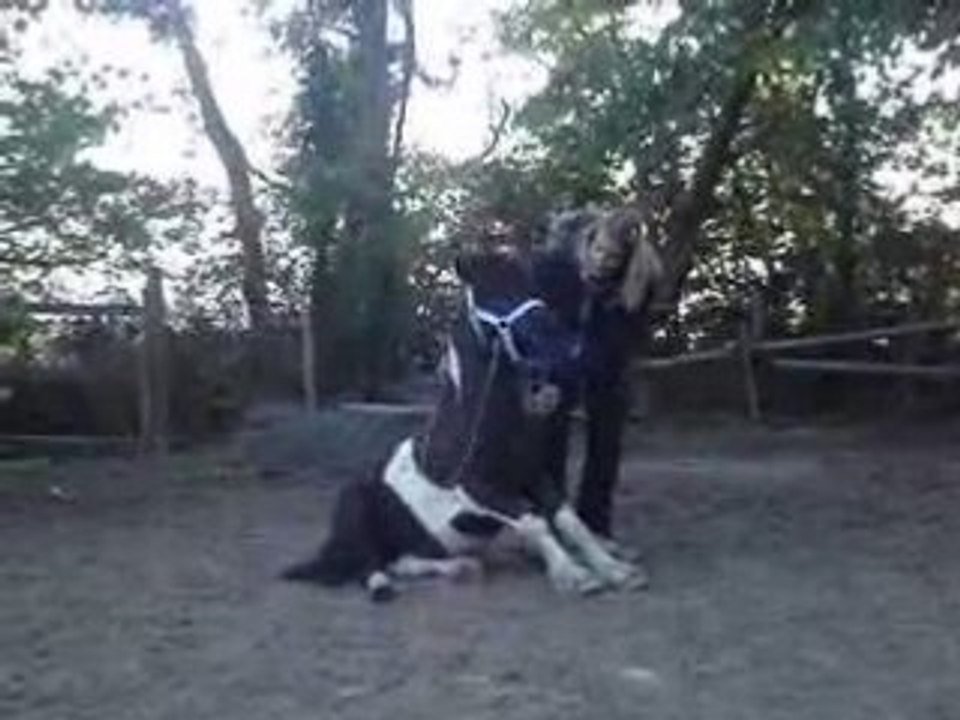 MOV03567
