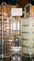 L'Oréal Luxe x Harper's Bazaar