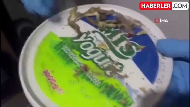 Nevşehir'de Narkotik Köpeği ile Uyuşturucu Operasyonu