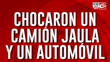 Chocaron camión jaula y un automóvil: hay tres personas muertas