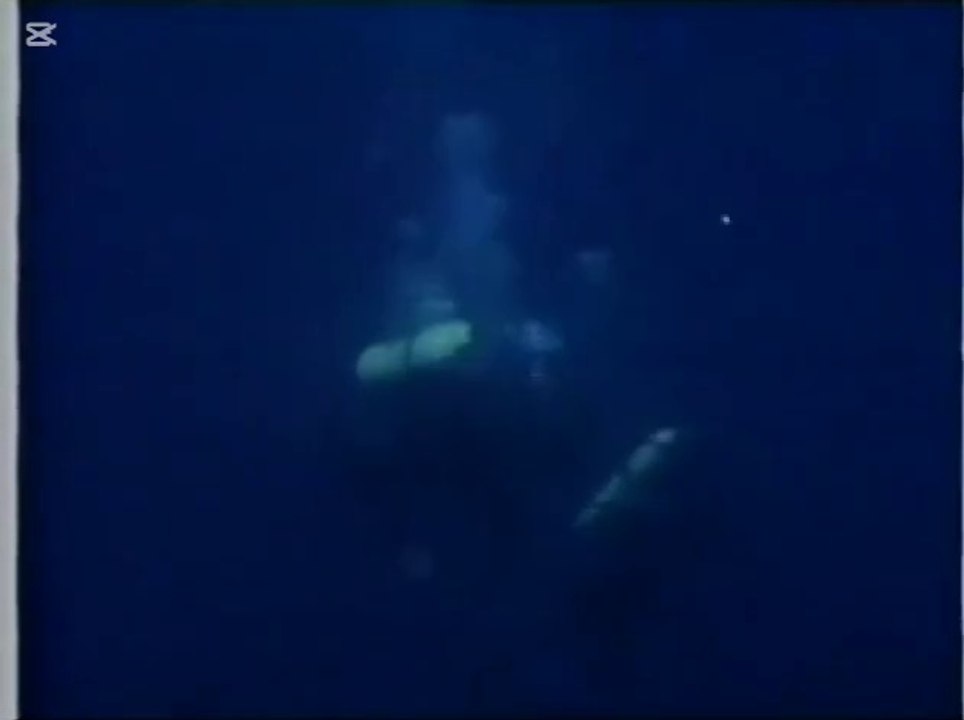 beyond the Poseidon adventure (1979) TV version - 45