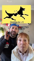 QUI VA TROUVER LES CHIENS CACHÉS ? 🐶