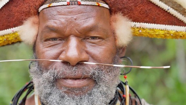 Gardiens de la forêt - Le temps des solutions Bande-annonce VF