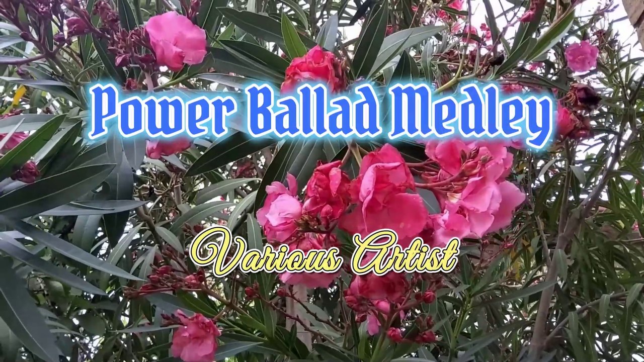 Power Ballad Medley - Various Artist Video Karaoke