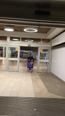 Jamón ibérico y serrano