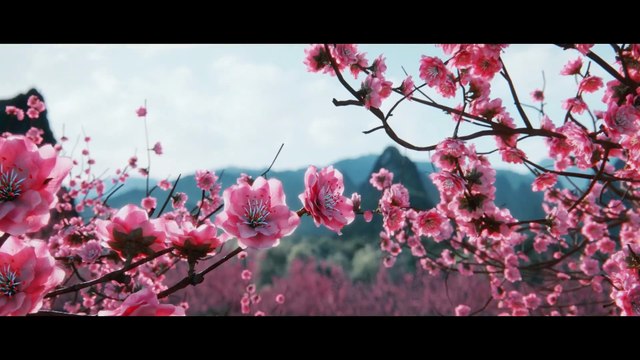 Total War: Three Kingdoms – Der erste Trailer zum Strategie-Spiel auf Steam