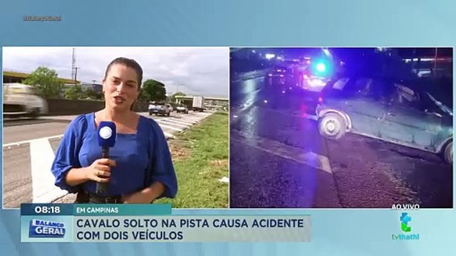 Cavalo solto na pista causa acidente na Rodovia Santos Dumont em Campinas